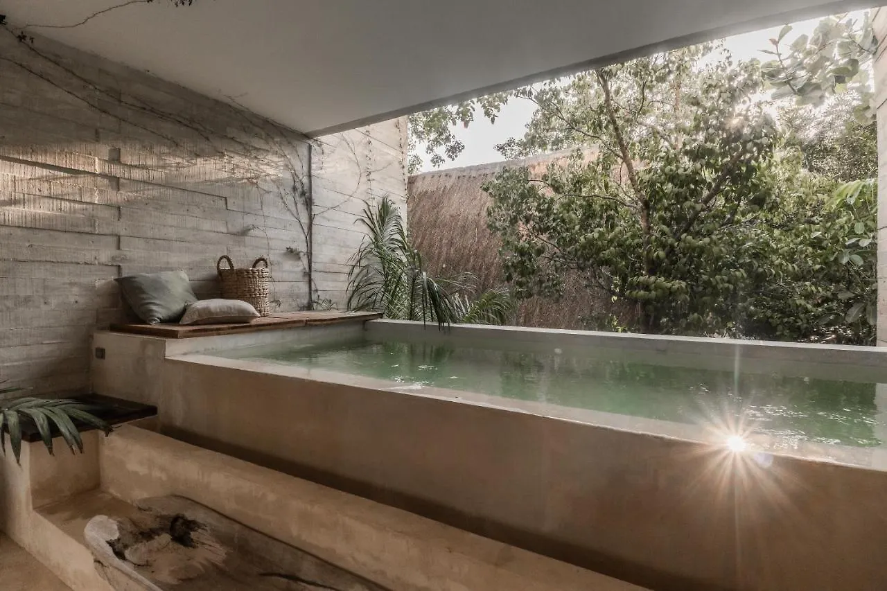 Апартаменты Totally Private Pool And Terrace @ La Veleta D5 Тулум