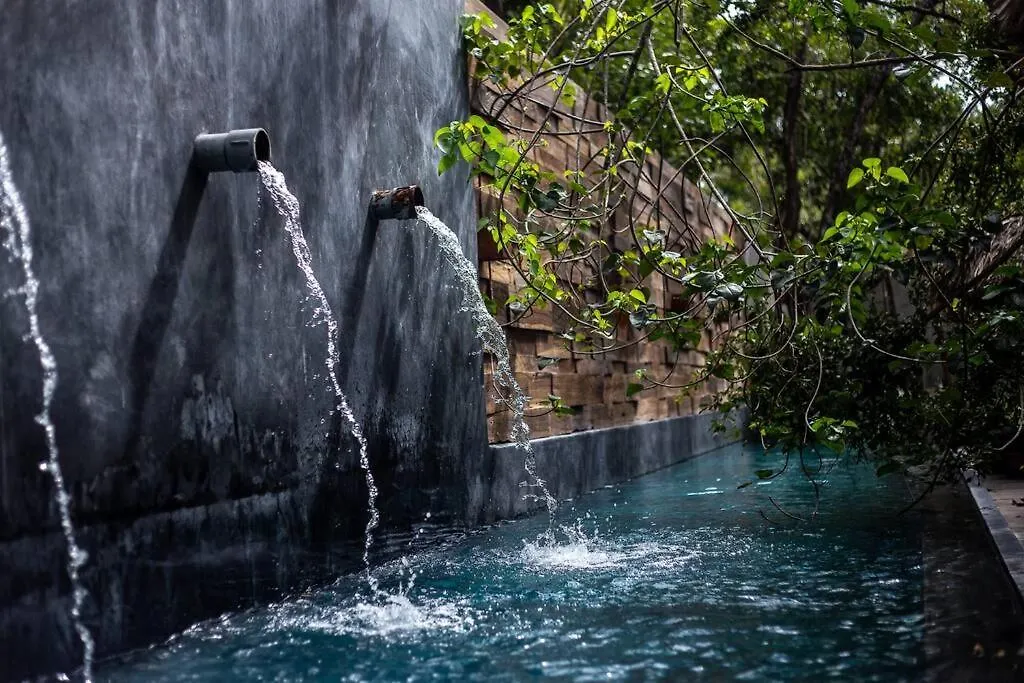 Totally Private Pool And Terrace @ La Veleta D5 Tulum Mexico
