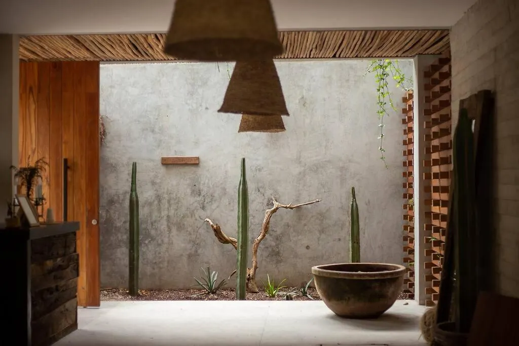 Totally Private Pool And Terrace @ La Veleta D5 Tulum