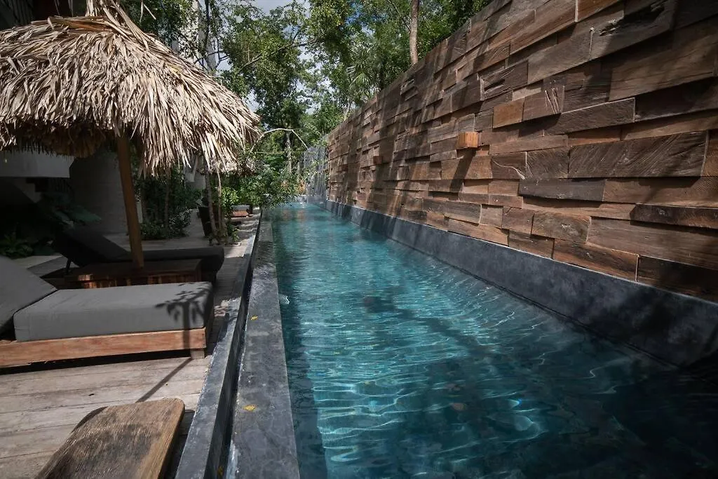 Totally Private Pool And Terrace @ La Veleta D5 Tulum 0*,  Mexico